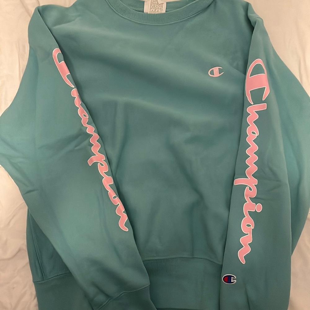 Blue and Pink Champion Crew Neck Sweater